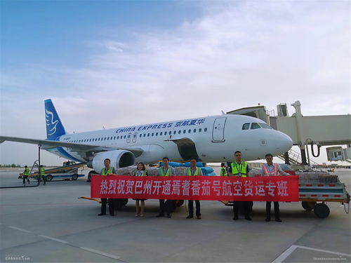 庫爾勒機場年旅客吞吐量突破220萬人次，空運與道路貨運協同發展助推區域經濟